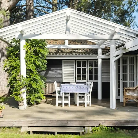 Wooden House With Nostalgia Near